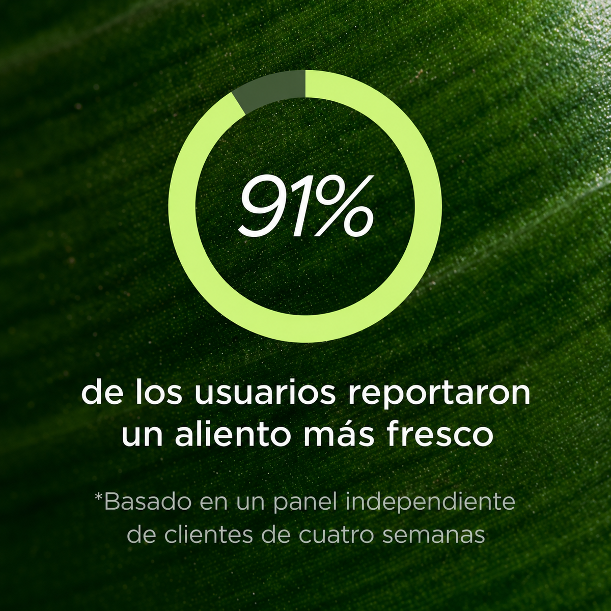 Suplemento alimenticio de hierbas para el mal aliento y olor corporal Varvaire®